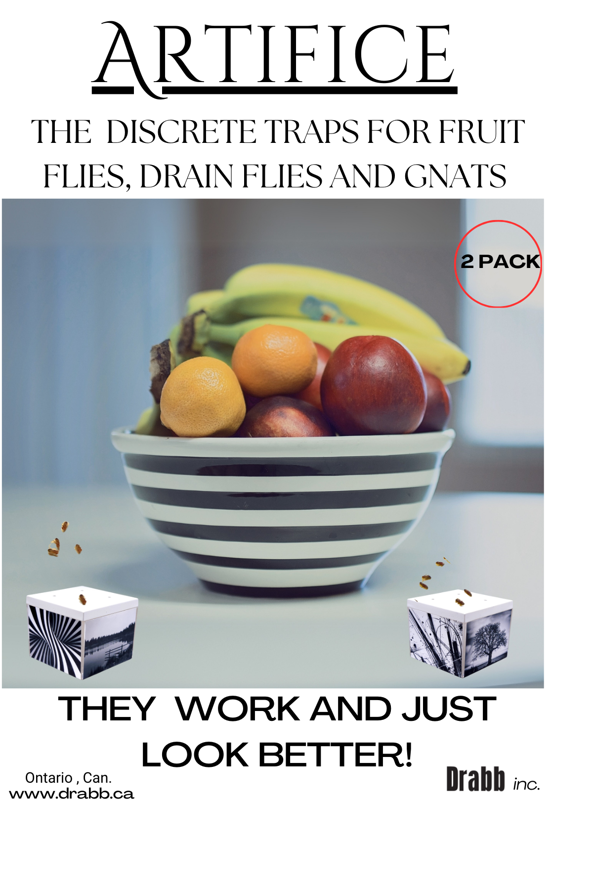 Artifice Fruit Fly Traps, Set of 2