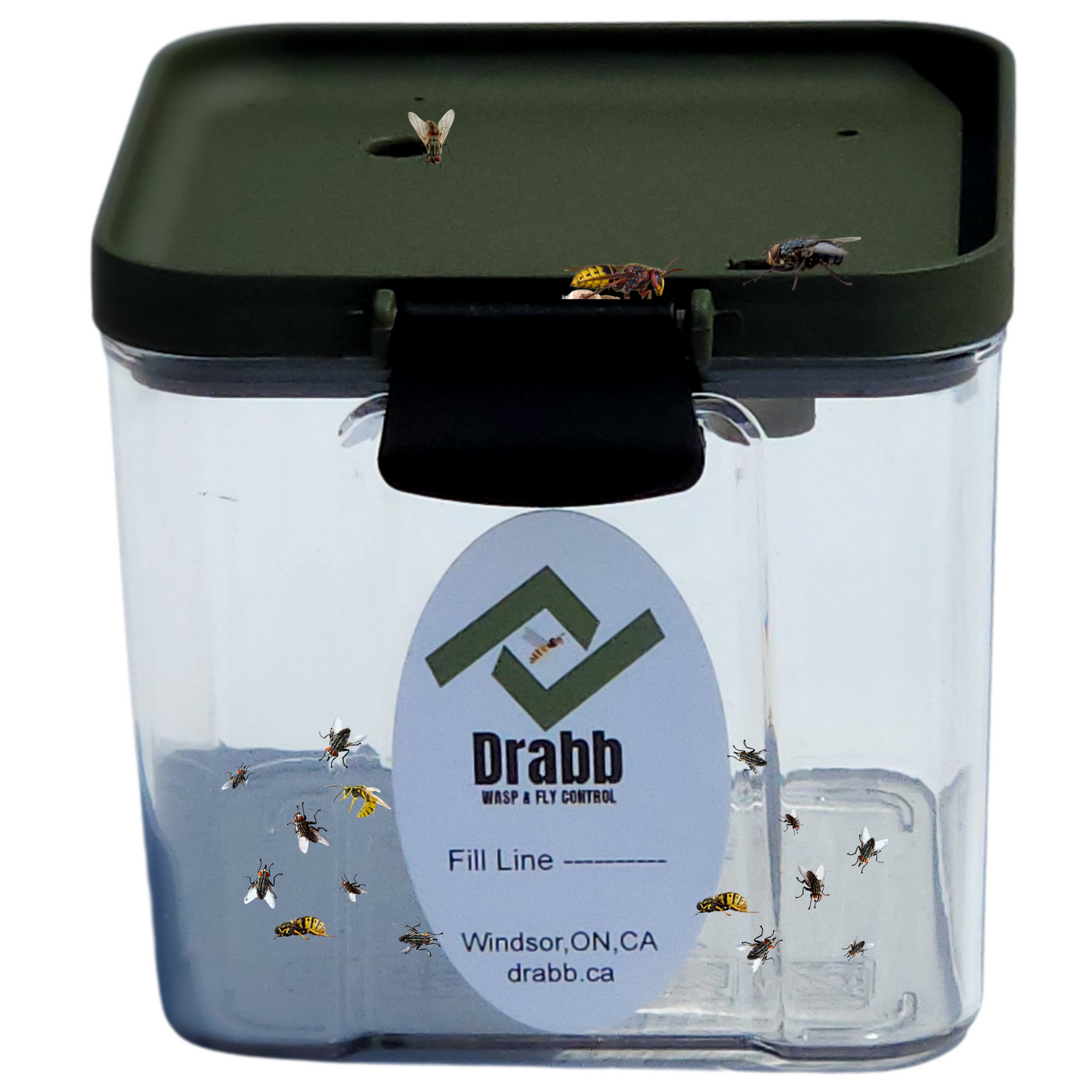 Wasp Trap and Fly Trap "The Solution"
