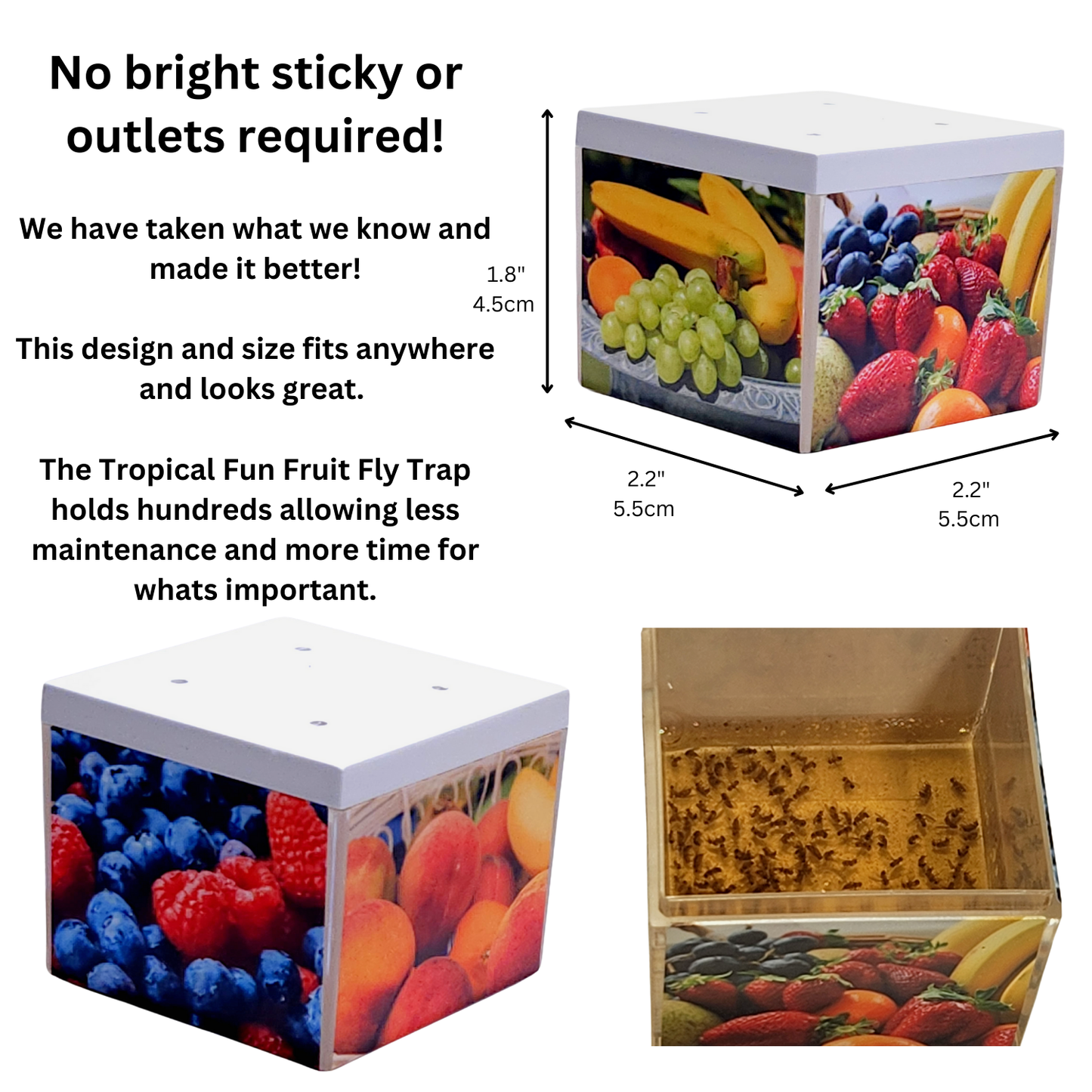 best fruit fly traps