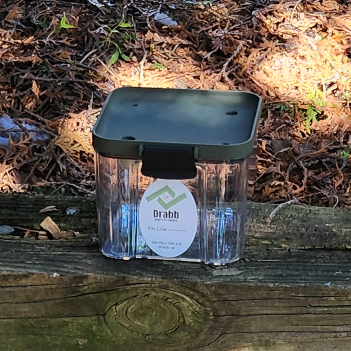 wasp traps