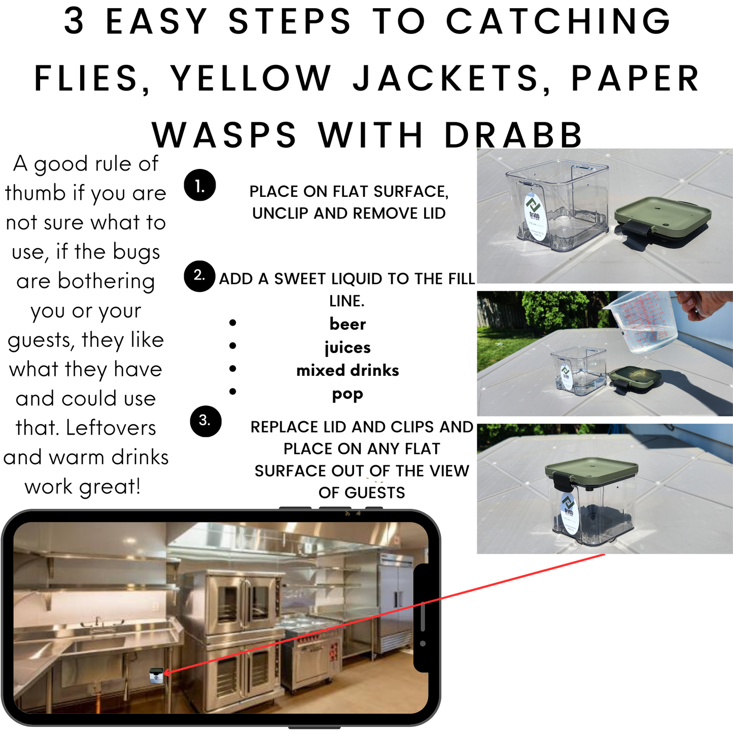 how to catch wasps and flies