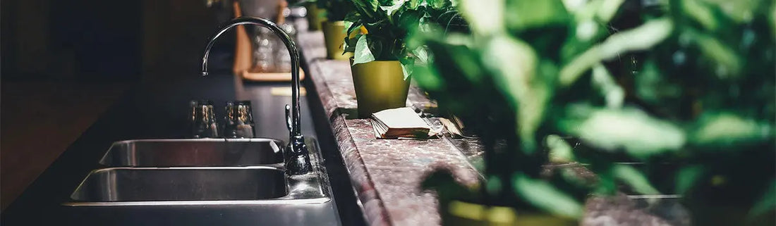 DIY Fruit Fly Traps: Truth Behind The Hype Drabb