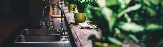 DIY Fruit Fly Traps: Truth Behind The Hype Drabb