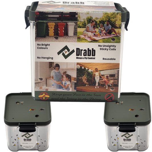 Double The Solution, 2 Pack by Drabb. Unnoticeable Wasp Trap and Fly Trap.