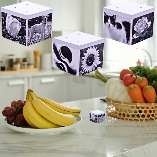 Artifice, Fruit Fly Traps, Set of 3. They work great and look even better!