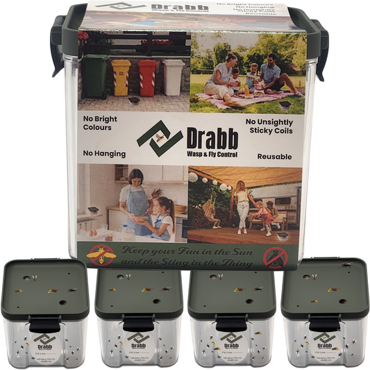 Entertainers Pack. 4 Solutions, Wasp Trap and Fly Traps by Drabb.