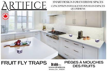 Artifice, Fruit Fly Traps, Set of 3. They work great and look even better!