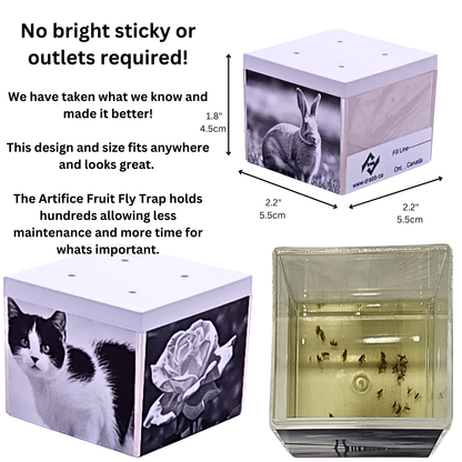 Artifice, Fruit Fly Traps, Set of 3. They work great and look even better!