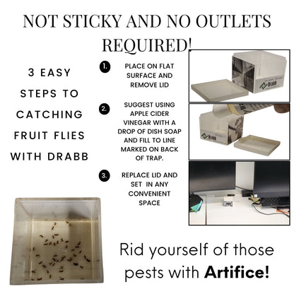 Artifice fruit fly trap