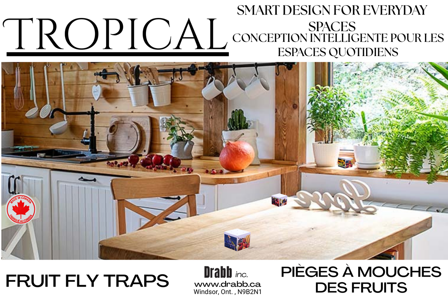 Tropical Fun Fruit Fly Traps