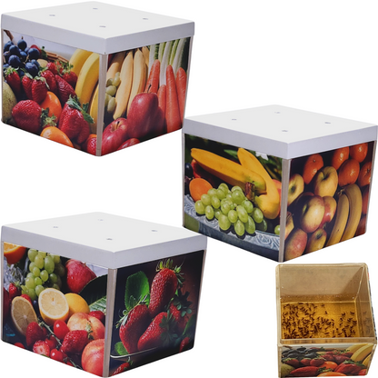 fruit fly traps