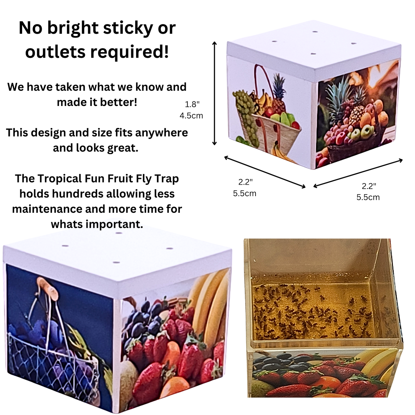 Tropical Fun Fruit Fly Traps