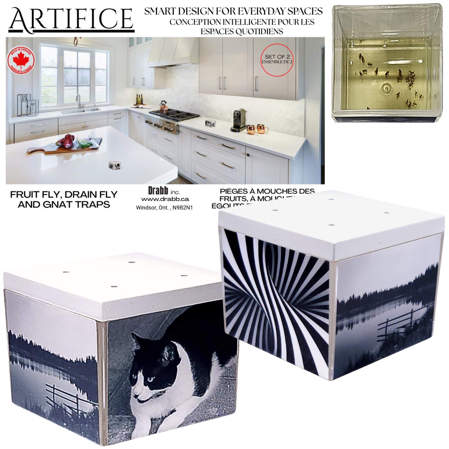 Artifice Fruit Fly Traps, Set of 2