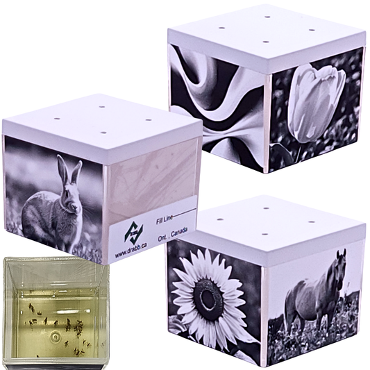 Artifice, Fruit Fly Traps, Set of 3. They work great and look even better!