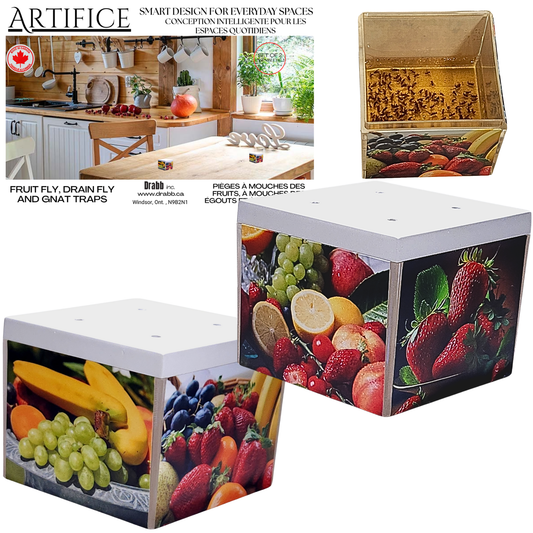 Tropical Fun Fruit Fly Traps