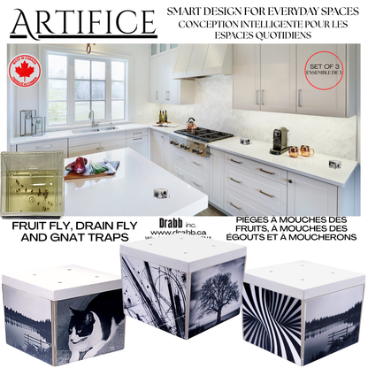 Artifice, Fruit Fly Traps, Set of 3. They work great and look even better!