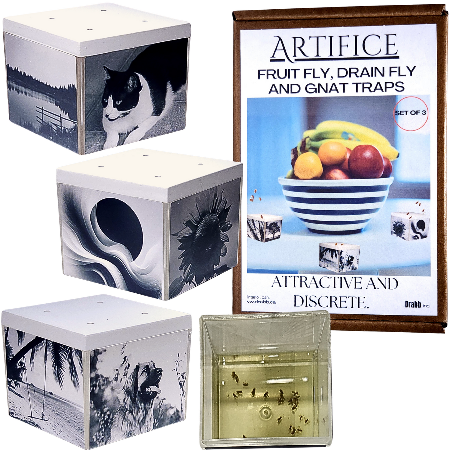Artifice, Fruit Fly Traps, Set of 3. They work great and look even better!