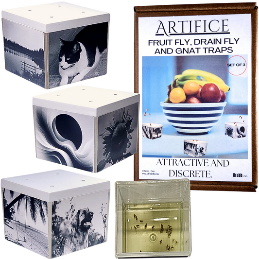 Artifice, Fruit Fly Traps, Set of 3. They work great and look even better!