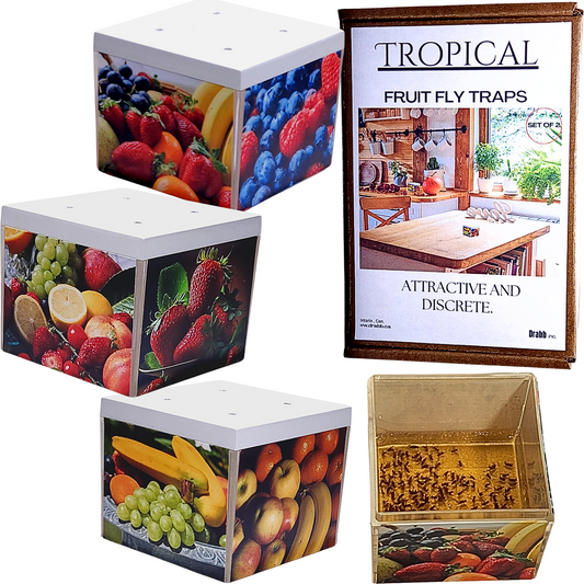 Tropical Fun. Fruit Fly, Drain Fly and Gnat traps.