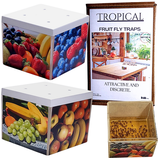 Tropical Fun Fruit Fly Traps