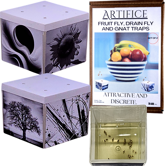 Artifice Fruit Fly Traps, Set of 2