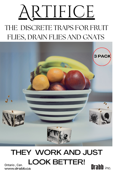 drain fly killer