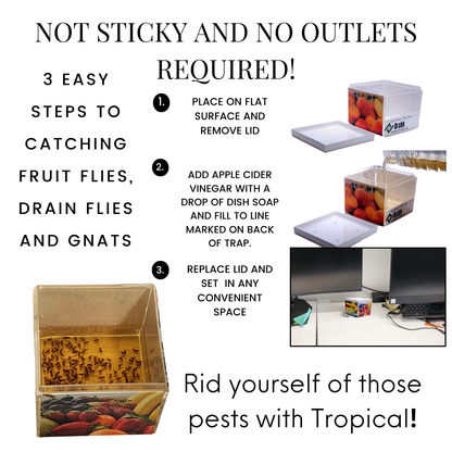 how to stop fruit flies
