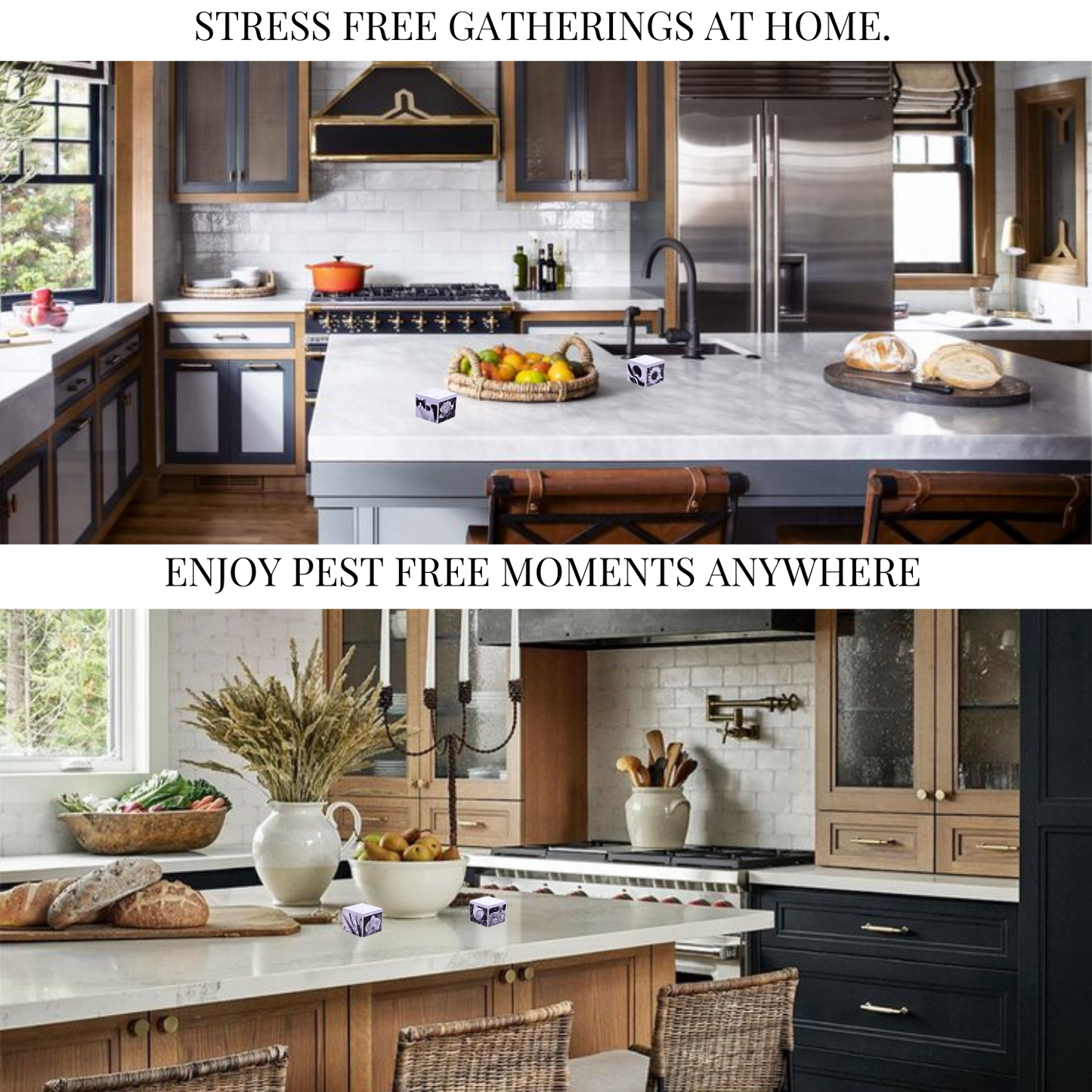 Artifice, Fruit Fly Traps, Set of 3. They work great and look even better!