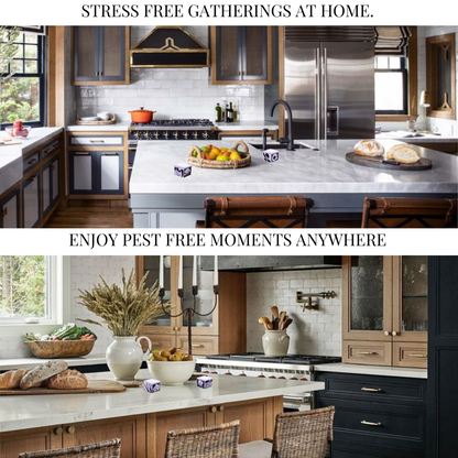 Artifice, Fruit Fly Traps, Set of 3. They work great and look even better!