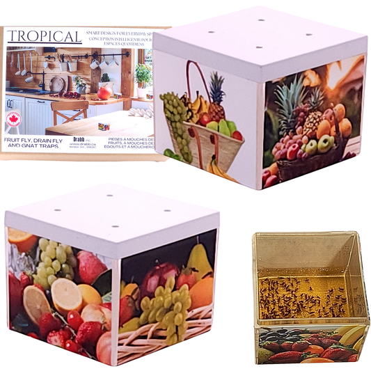 Tropical Fun Fruit Fly Traps